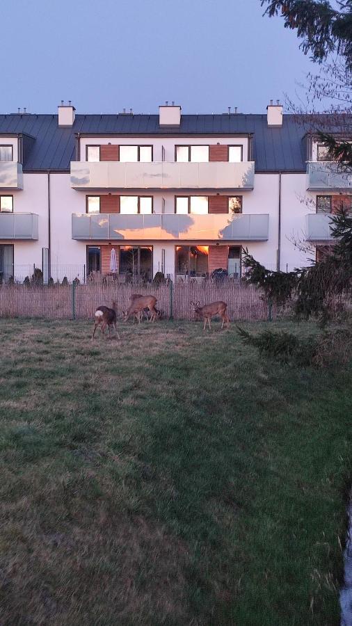 Luxholiday Grzybowo  Kültér fotó